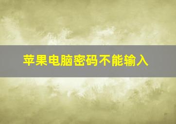 苹果电脑密码不能输入