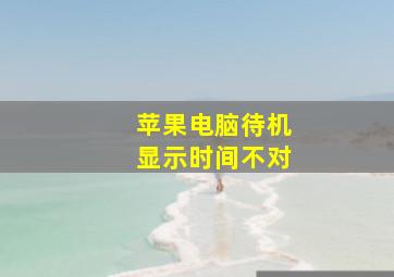 苹果电脑待机显示时间不对