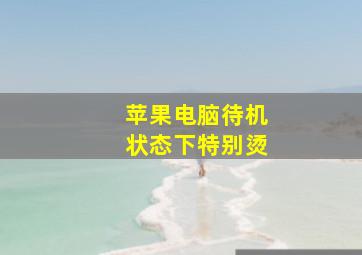 苹果电脑待机状态下特别烫