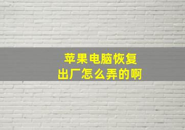 苹果电脑恢复出厂怎么弄的啊