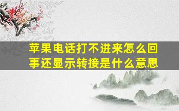 苹果电话打不进来怎么回事还显示转接是什么意思