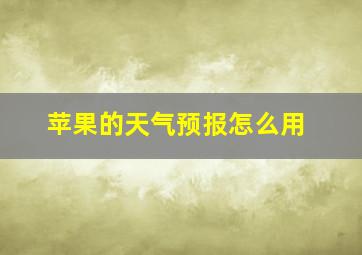 苹果的天气预报怎么用