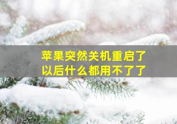 苹果突然关机重启了以后什么都用不了了