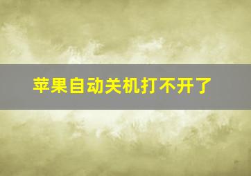 苹果自动关机打不开了