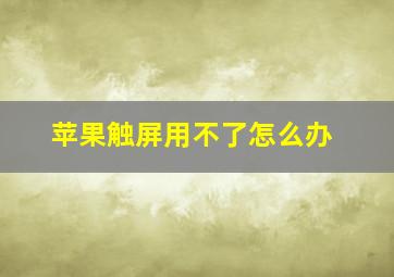 苹果触屏用不了怎么办