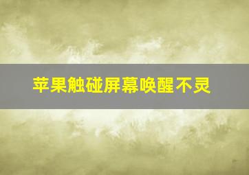 苹果触碰屏幕唤醒不灵