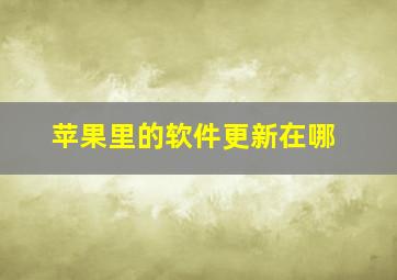 苹果里的软件更新在哪