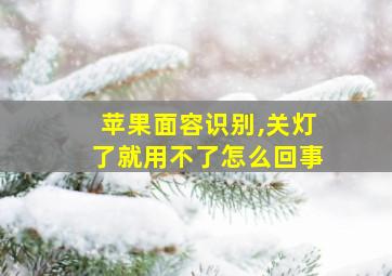 苹果面容识别,关灯了就用不了怎么回事