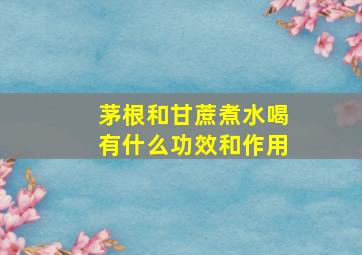 茅根和甘蔗煮水喝有什么功效和作用