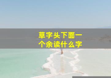 草字头下面一个余读什么字