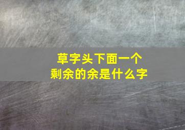 草字头下面一个剩余的余是什么字