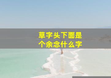 草字头下面是个余念什么字