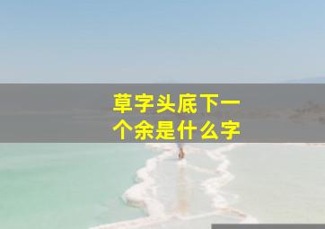 草字头底下一个余是什么字