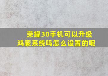 荣耀30手机可以升级鸿蒙系统吗怎么设置的呢