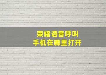 荣耀语音呼叫手机在哪里打开