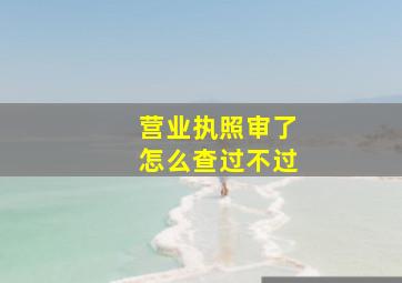 营业执照审了怎么查过不过