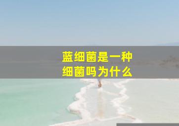 蓝细菌是一种细菌吗为什么