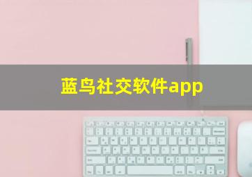 蓝鸟社交软件app