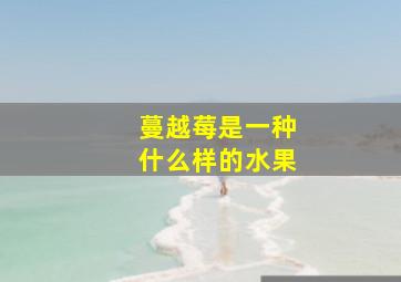 蔓越莓是一种什么样的水果