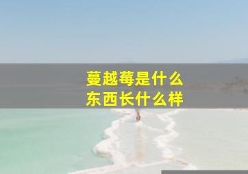 蔓越莓是什么东西长什么样