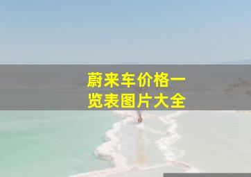 蔚来车价格一览表图片大全