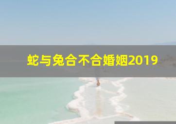 蛇与兔合不合婚姻2019