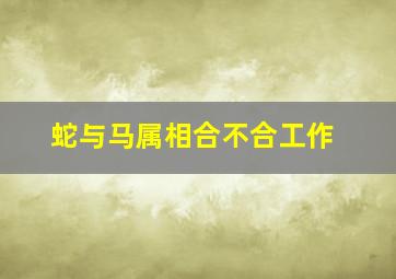 蛇与马属相合不合工作