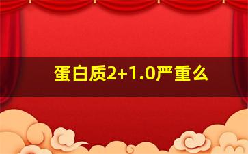 蛋白质2+1.0严重么