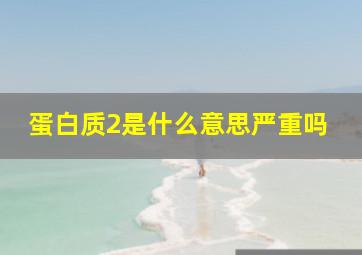 蛋白质2是什么意思严重吗