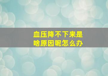 血压降不下来是啥原因呢怎么办