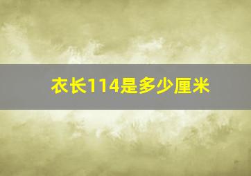 衣长114是多少厘米