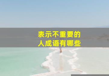 表示不重要的人成语有哪些