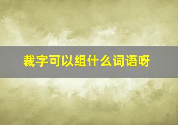 裁字可以组什么词语呀