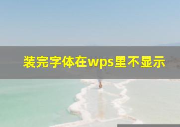 装完字体在wps里不显示