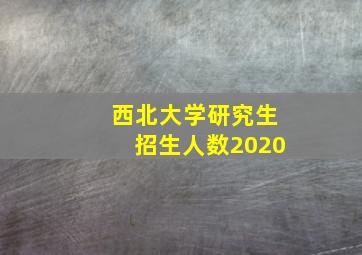 西北大学研究生招生人数2020