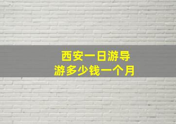 西安一日游导游多少钱一个月