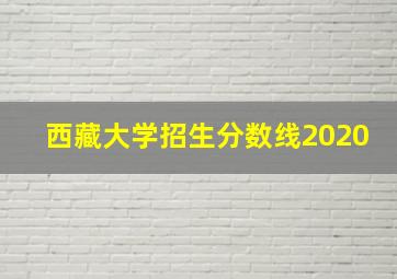 西藏大学招生分数线2020