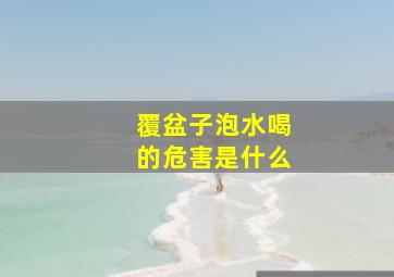 覆盆子泡水喝的危害是什么