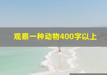 观察一种动物400字以上