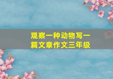 观察一种动物写一篇文章作文三年级