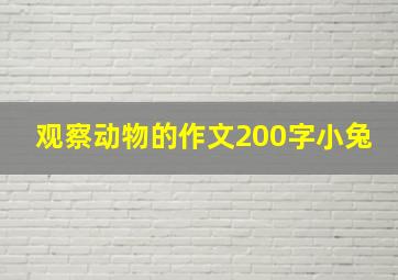 观察动物的作文200字小兔