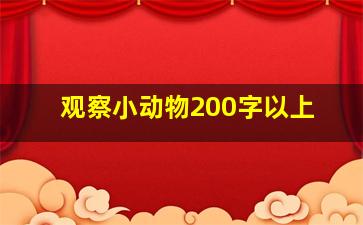 观察小动物200字以上