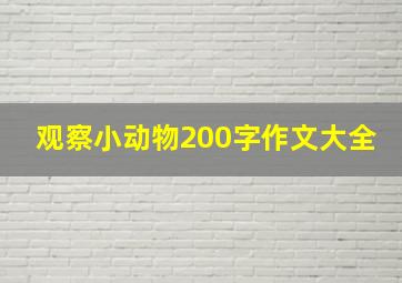 观察小动物200字作文大全