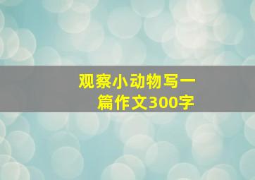 观察小动物写一篇作文300字