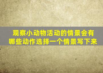 观察小动物活动的情景会有哪些动作选择一个情景写下来