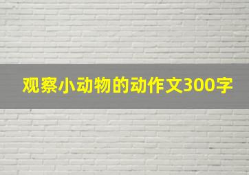 观察小动物的动作文300字