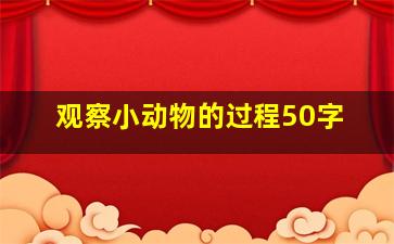 观察小动物的过程50字