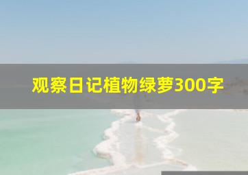 观察日记植物绿萝300字