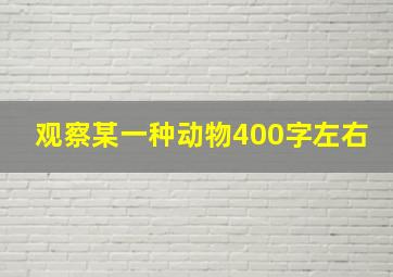 观察某一种动物400字左右