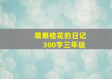 观察桂花的日记300字三年级